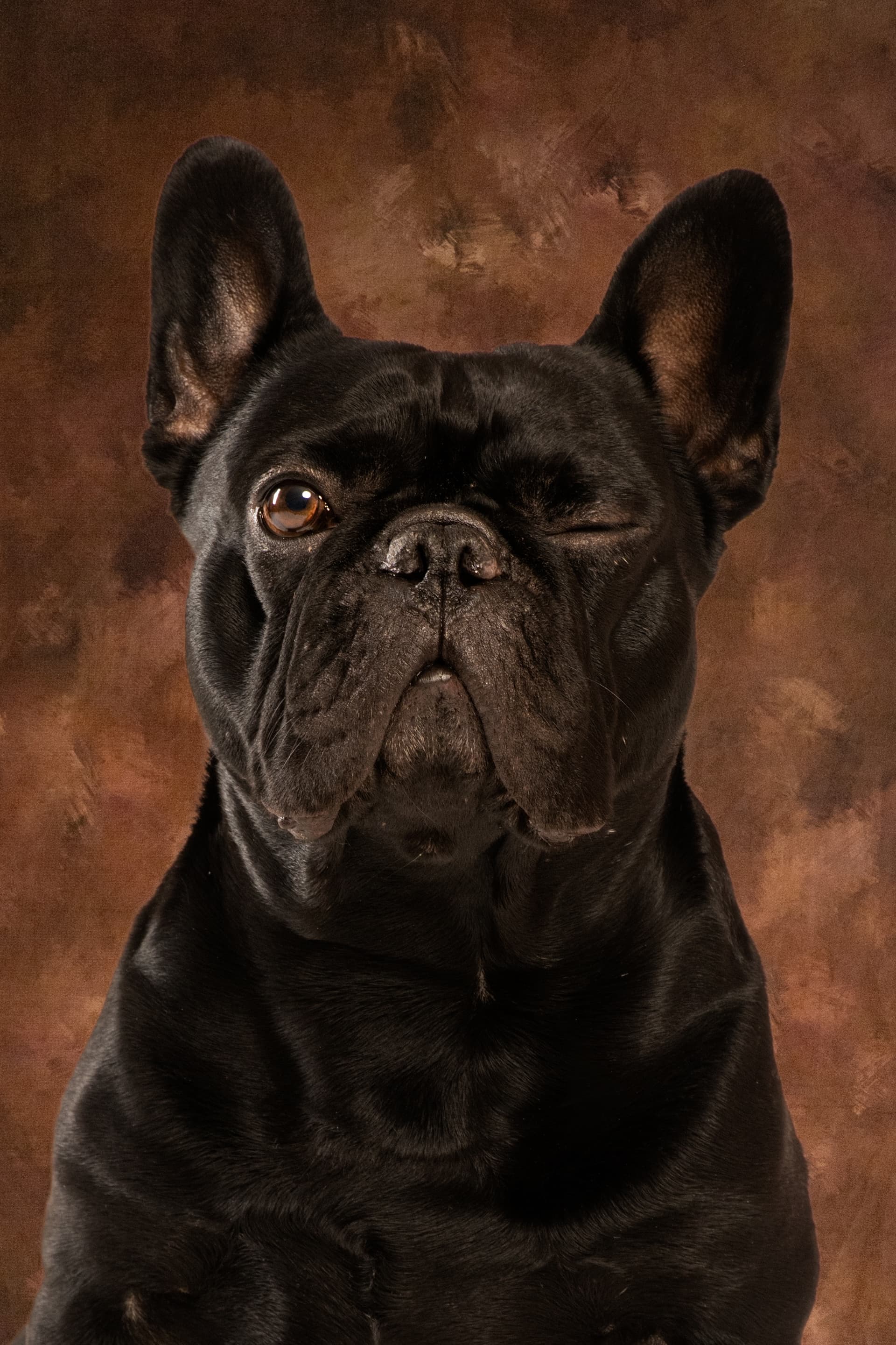 Zorro